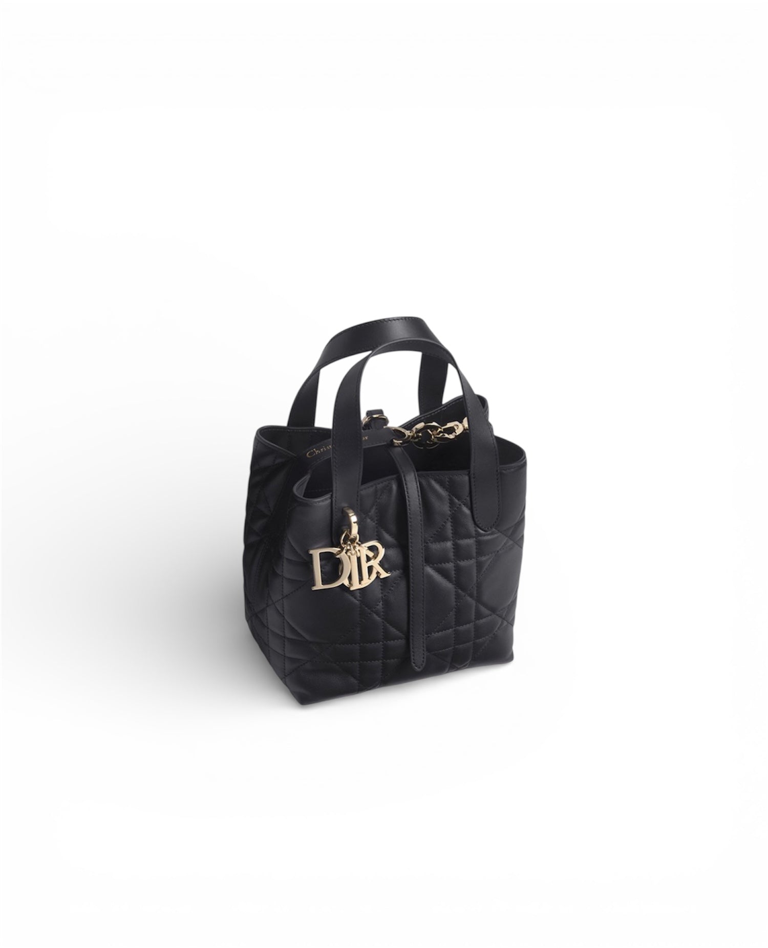 DR Small Dior Toujours Vertical Tote Bag Black