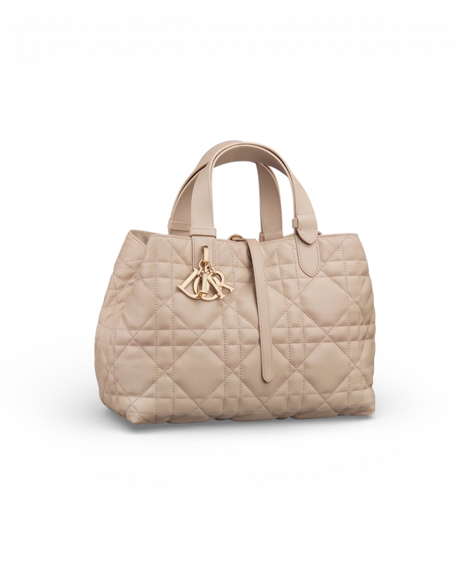 DR Medium Dior Toujours Bag
Desert Taupe