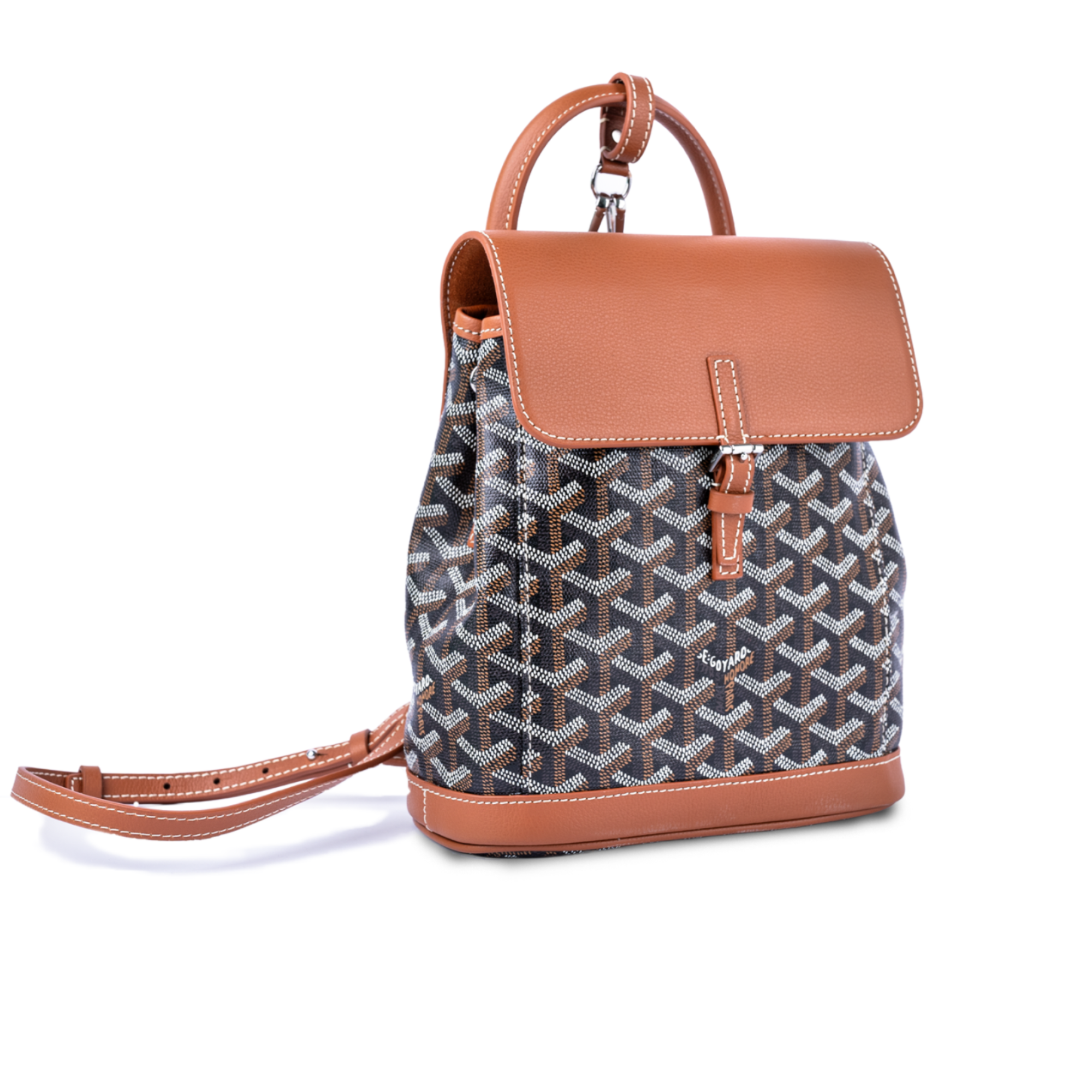 حقيبة ظهر جويارد ألبين ميني